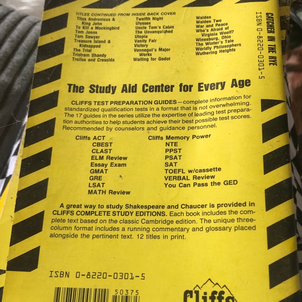 Notes Yellow Cat in the Rye Study Guide - - Picture 4 of 4